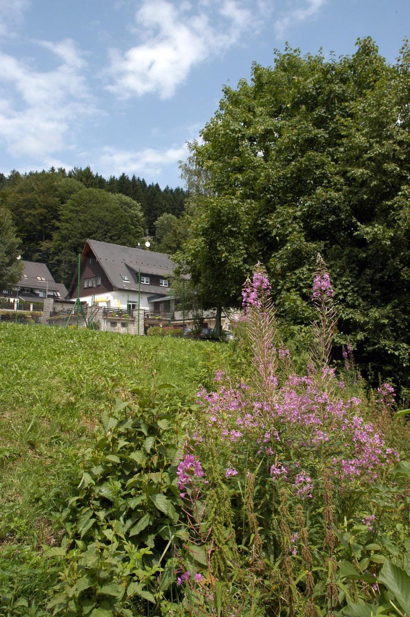 Penzion Bobesova Bouda Zelezna Ruda Exterior foto